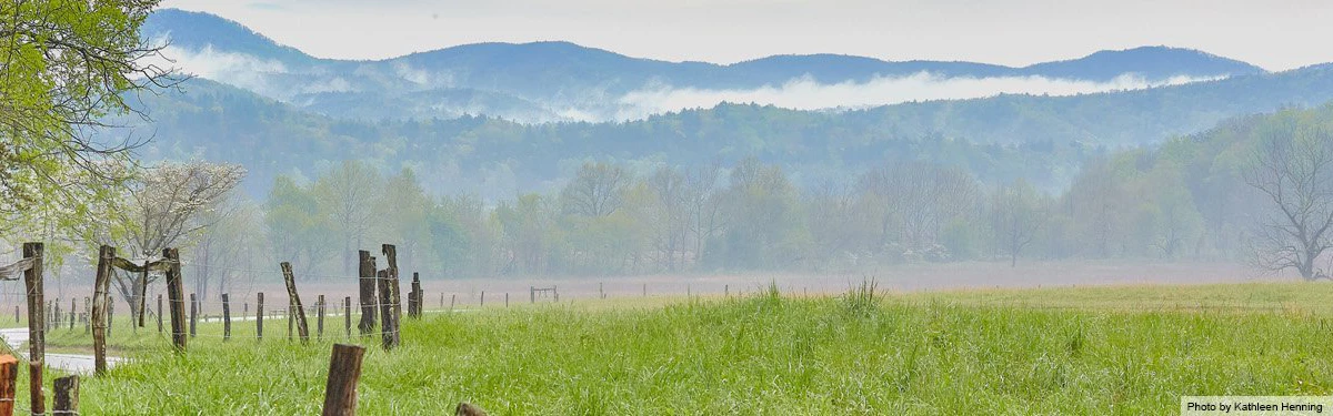 grasslands and mountains with wooden fence